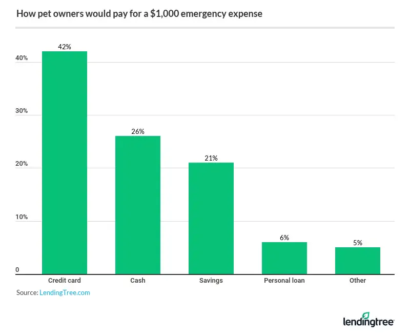 42% of pet owners would pay for a $1,000 emergency expense with a credit card.