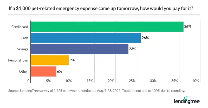 Over 1 in 3 pet owners would use a credit card to pay for a $1,000 pet emergency.